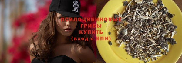 синтетический гашиш Медвежьегорск