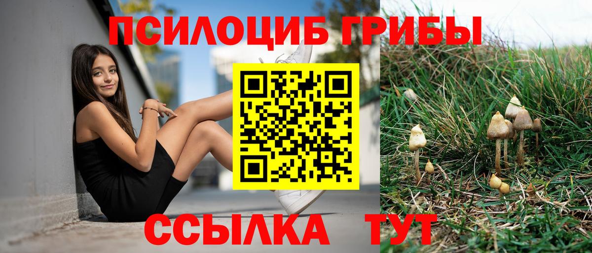 Заречный  Галлюциногенные грибы мицелий  Вход с VPN 