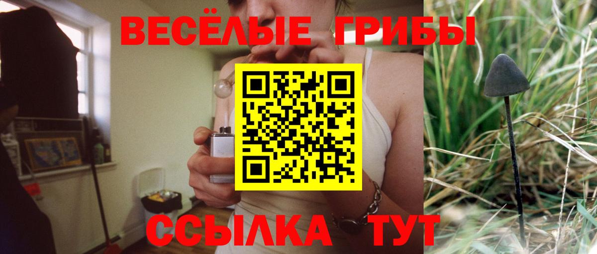 купить наркотики сайты  Заречный  Галлюциногенные грибы MAGIC MUSHROOMS 